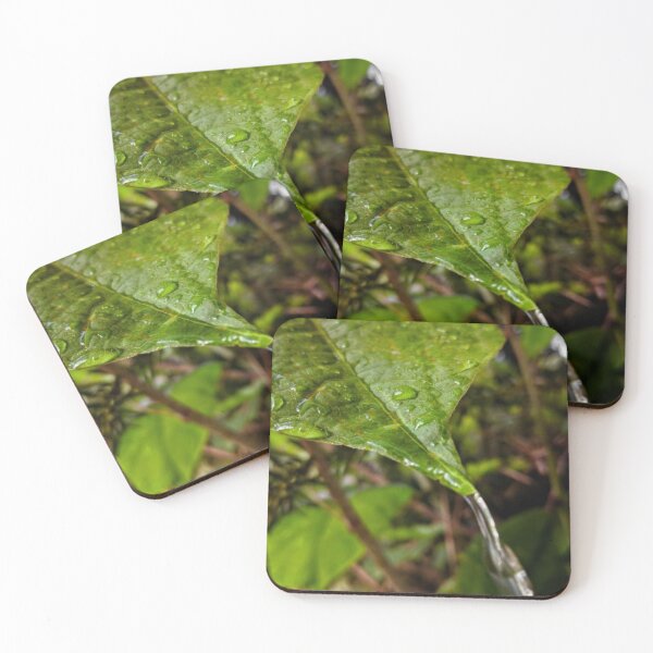 Item preview, Water on Leaf designed and sold by BritishYank.