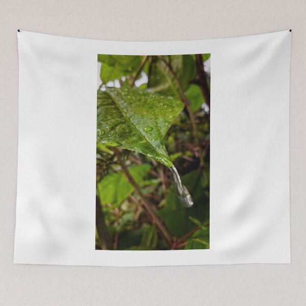 Item preview, Water on Leaf designed and sold by BritishYank.