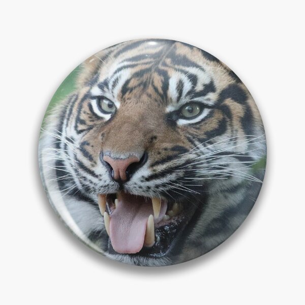 Item preview, Sumatran Tiger designed and sold by aquabella.
