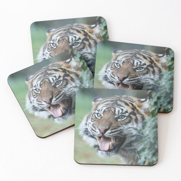 Item preview, Sumatran Tiger designed and sold by aquabella.