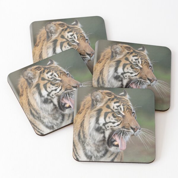 Item preview, Sumatran Tiger designed and sold by aquabella.