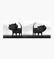 Mogs Photographic Print