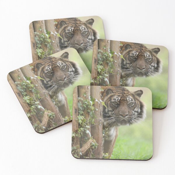 Item preview, Sumatran Tiger designed and sold by aquabella.