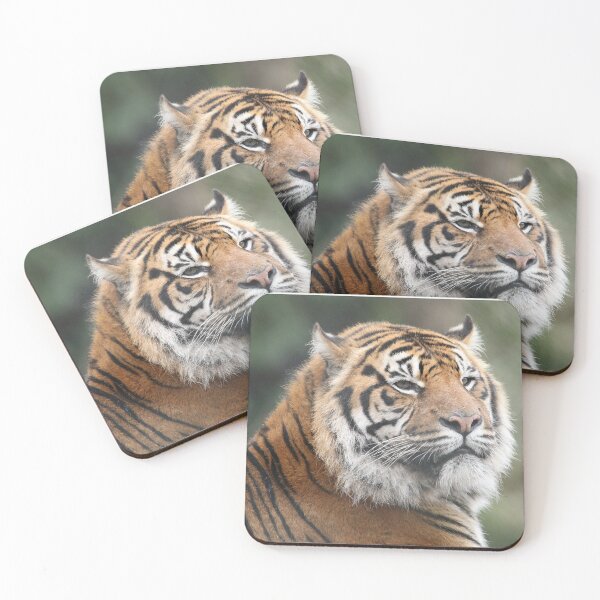 Item preview, Sumatran Tiger designed and sold by aquabella.