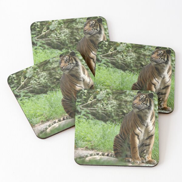 Item preview, Sumatran Tiger designed and sold by aquabella.