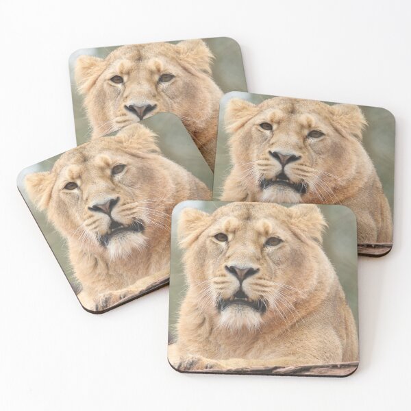 Item preview, Asiatic Lion designed and sold by aquabella.