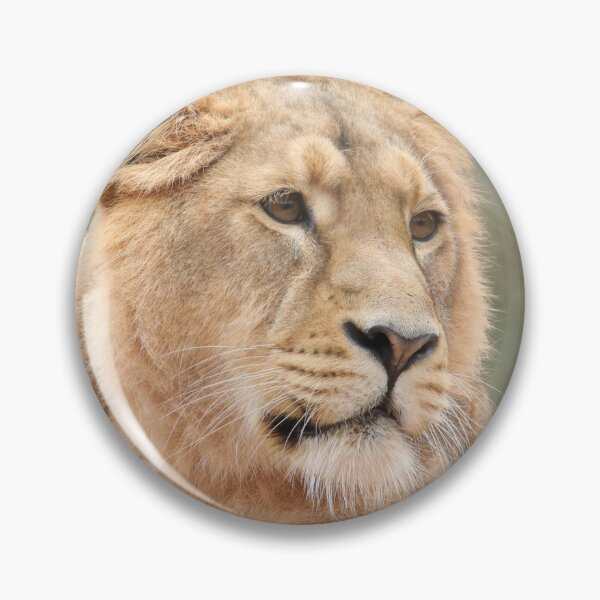 Item preview, Asiatic Lion designed and sold by aquabella.
