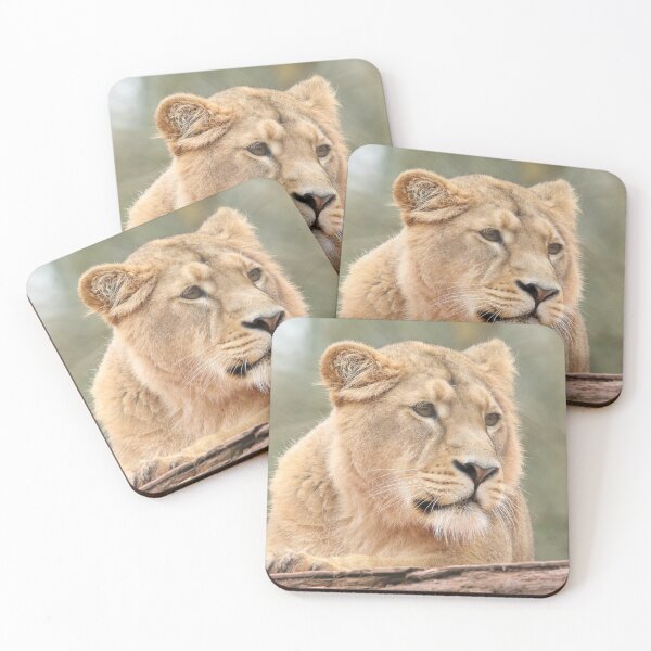 Item preview, Asiatic Lion designed and sold by aquabella.