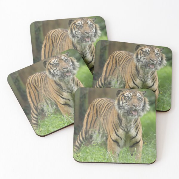 Item preview, Sumatran Tiger designed and sold by aquabella.