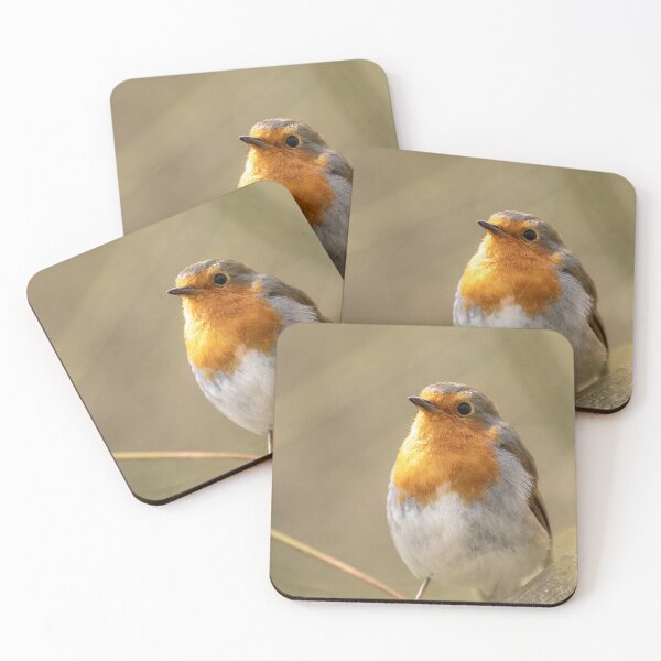 Item preview, Robin looking up designed and sold by AYatesPhoto.