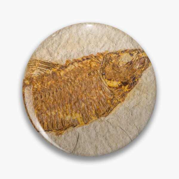 Item preview, Fossilized Knightia Fish designed and sold by Jacob Nava.