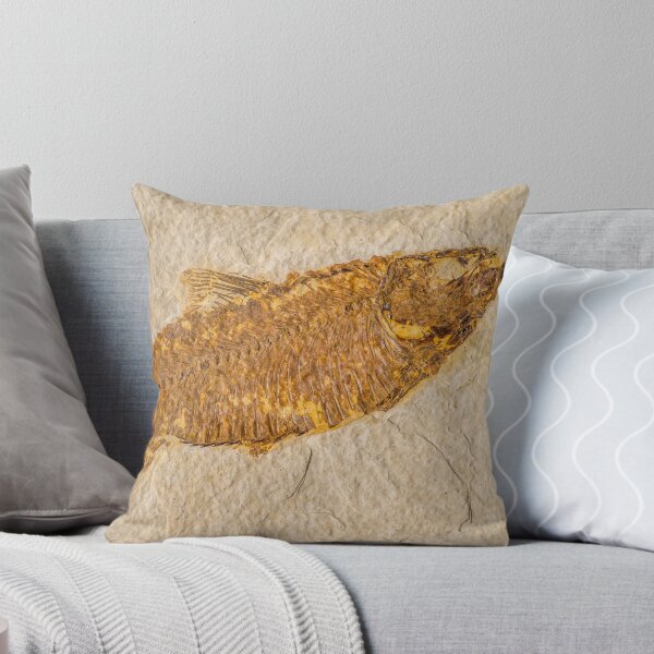 Item preview, Fossilized Knightia Fish designed and sold by Jacob Nava.