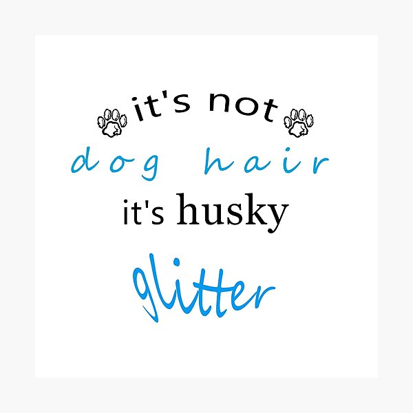 It's Not Dog Hair It's Husky Glitter T-Shirt, Tank Top, Hoodie, Huskie, Huskie Gift, Huskie Lover, Huskie Tee, Huskie Life, Huskie Lover Photographic Print