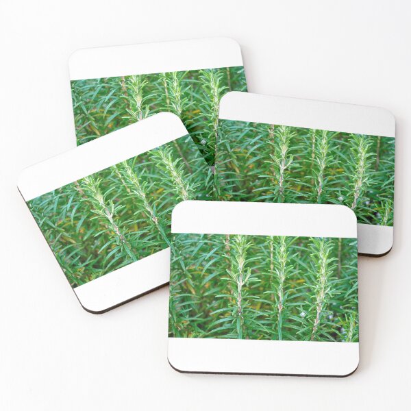 Item preview, Rosemary designed and sold by MUZA9.