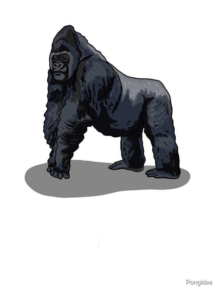 Silverback Gorilla Gorilla Gorilla Baby One Piece By Pongidae Redbubble