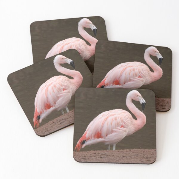 Item preview, Flamingo designed and sold by aquabella.