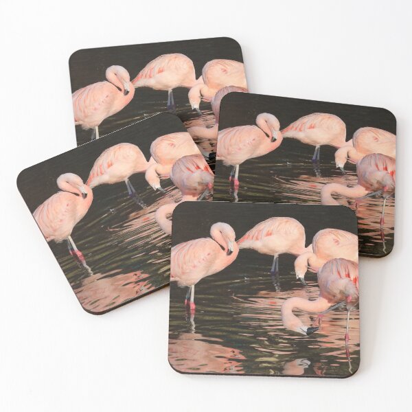 Item preview, Flamingos designed and sold by aquabella.