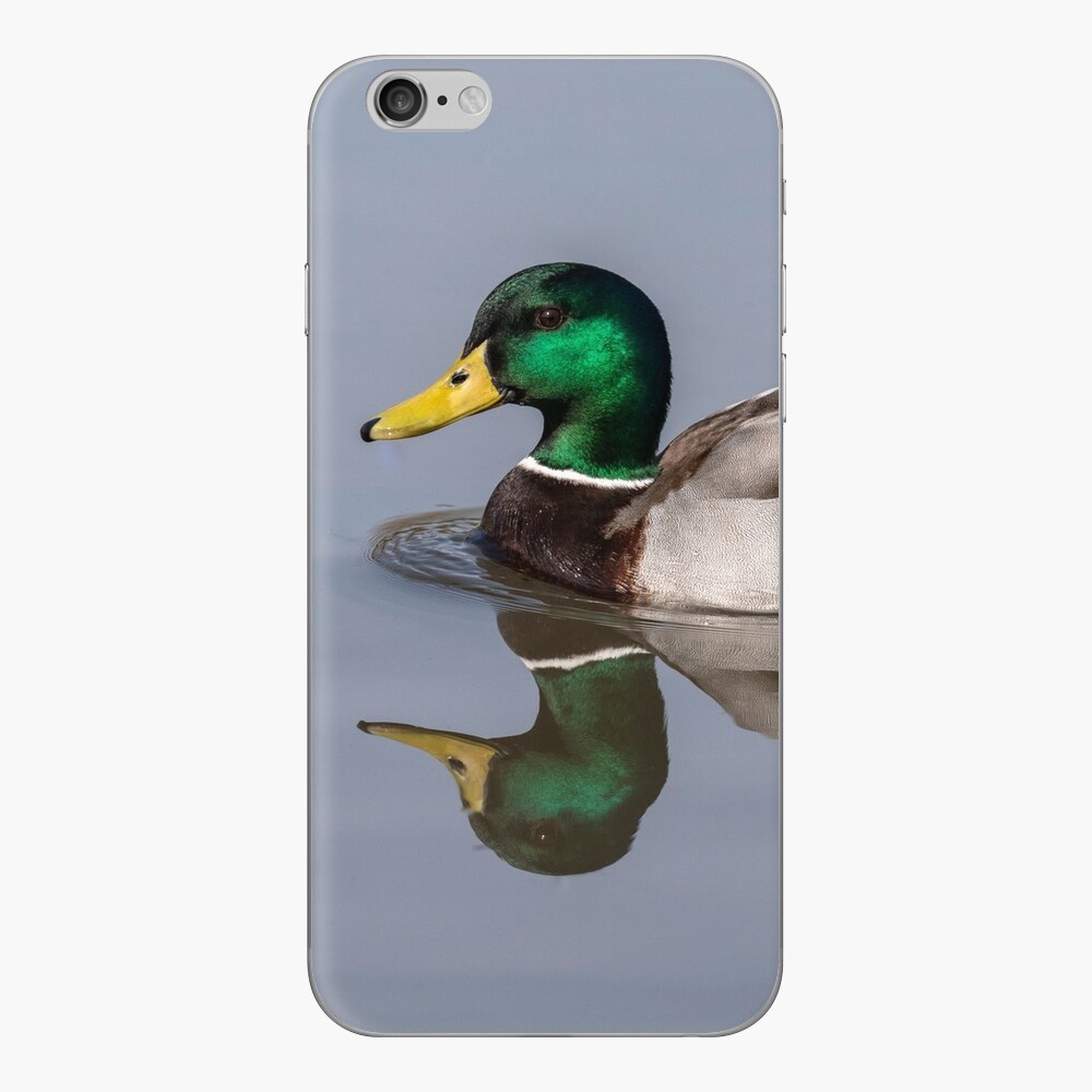 Item preview, iPhone Skin designed and sold by AYatesPhoto.