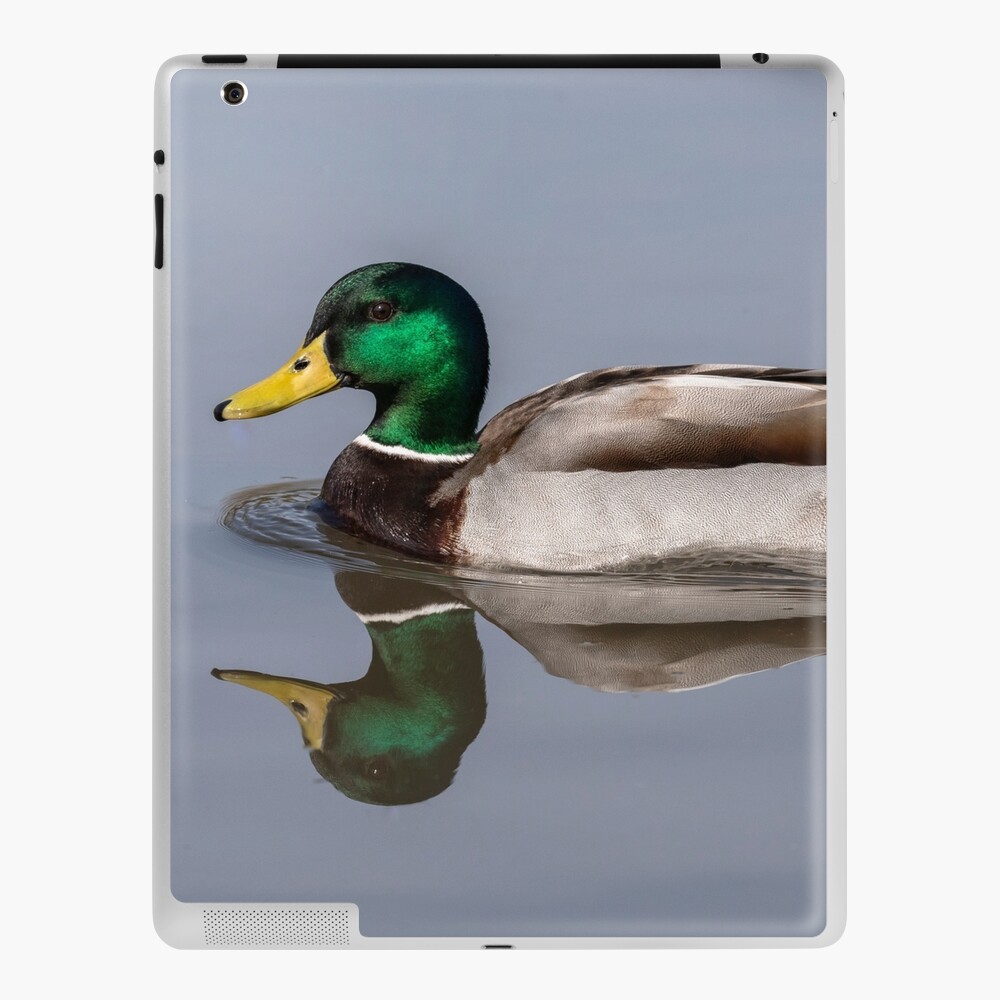 Item preview, iPad Skin designed and sold by AYatesPhoto.