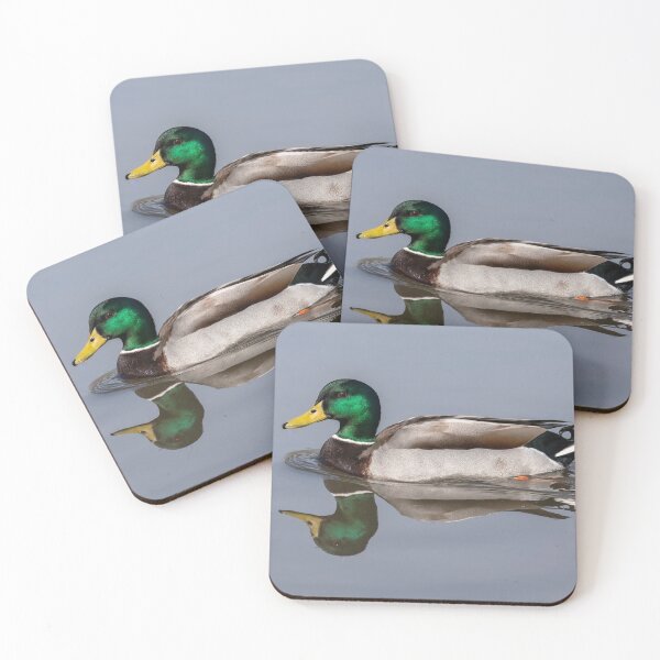 Item preview, Mallard reflection designed and sold by AYatesPhoto.
