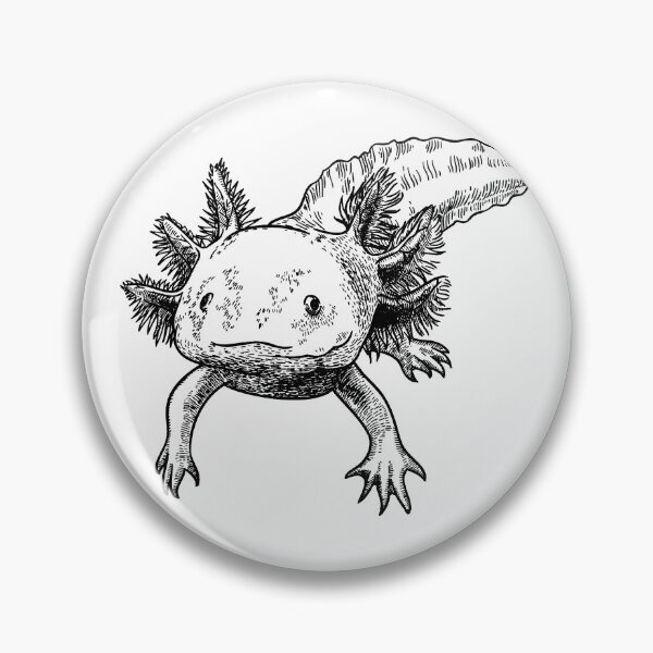 Ajolote Pins And Buttons Redbubble