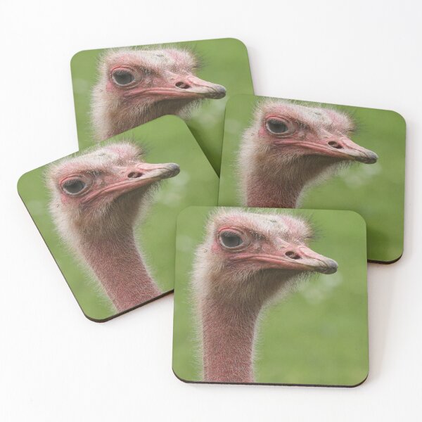 Item preview, Ostrich designed and sold by aquabella.