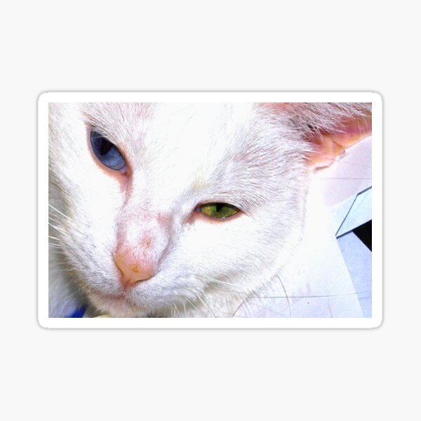 Item preview, Forget the paperwork, Mommy and pet me! designed and sold by B. Randi Bailey.
