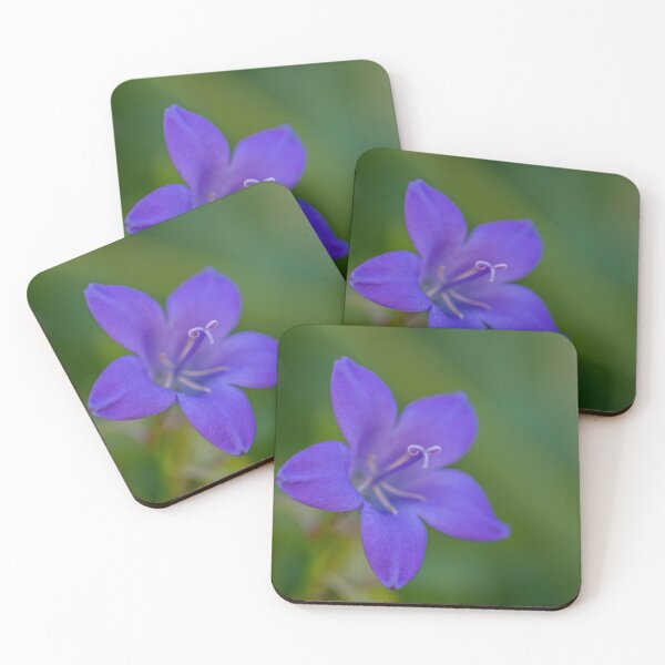 Item preview, Bellflower designed and sold by iCimages.net.