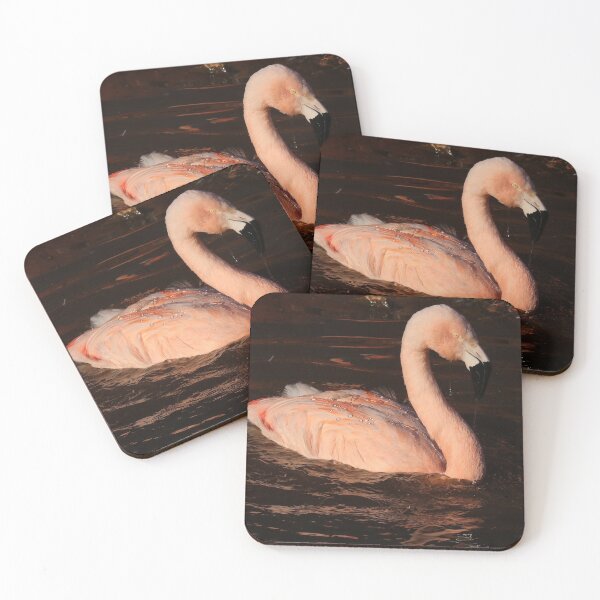 Item preview, Flamingo designed and sold by aquabella.