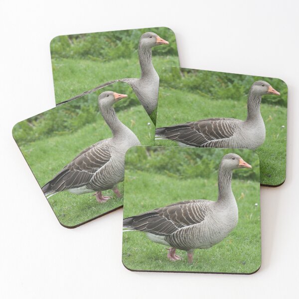 Item preview, Greylag Goose designed and sold by aquabella.
