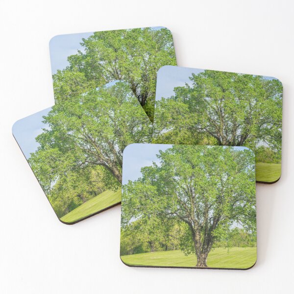 Item preview, Grand Elm Tree designed and sold by mljdwhite.