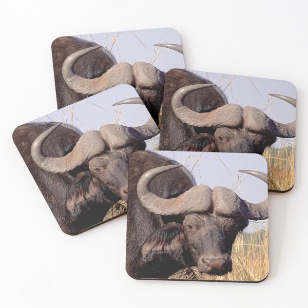 Item preview, Water Buffalo designed and sold by PlanetFranck.