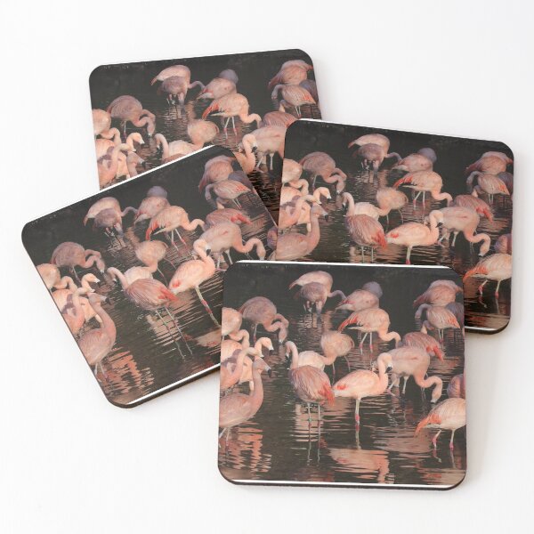 Item preview, Flamingos designed and sold by aquabella.
