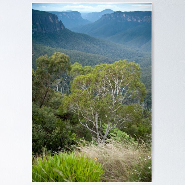 Item preview, Govetts Leap Blackheath NSW designed and sold by Jeanne Kinninmont.