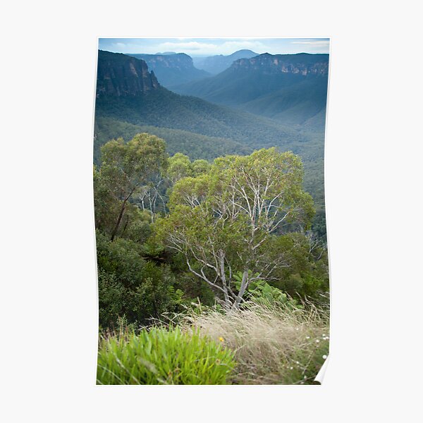 Govetts Leap Blackheath NSW Poster