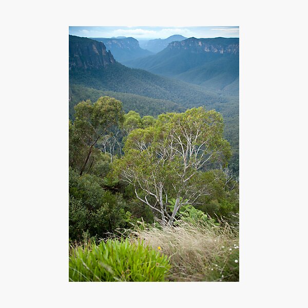 Item preview, Govetts Leap Blackheath NSW designed and sold by Jeanne Kinninmont.