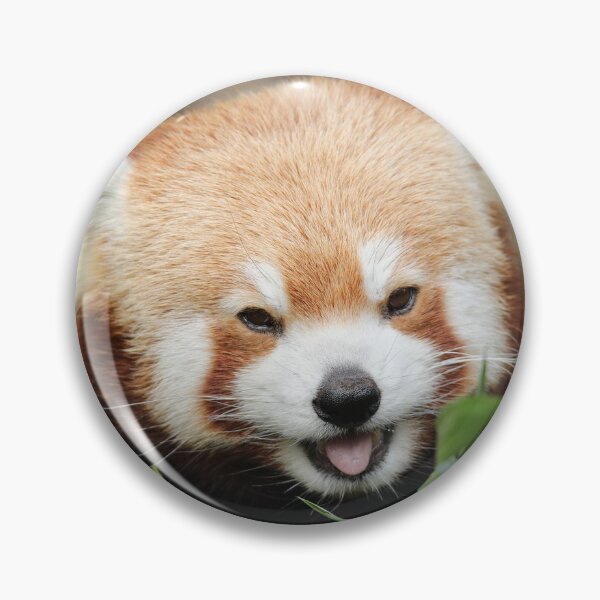 Item preview, Red Panda designed and sold by aquabella.