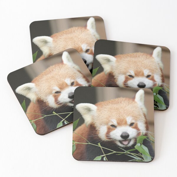Item preview, Red Panda designed and sold by aquabella.