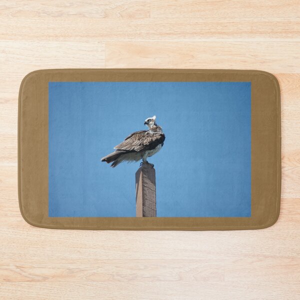 Item preview, Young Eagle @ Ballina, Australia 2008 designed and sold by muz2142.