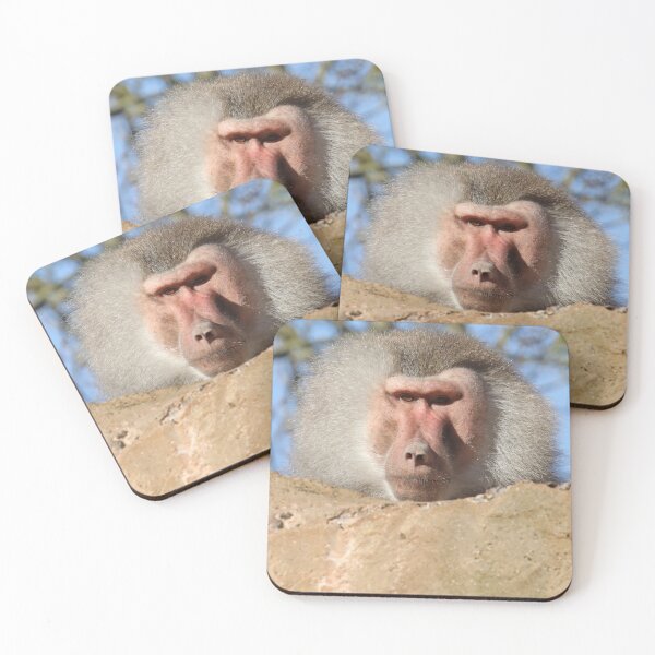 Item preview, Hamadryas Baboon designed and sold by aquabella.