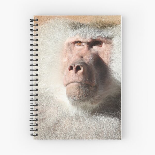 Item preview, Hamadryas Baboon designed and sold by aquabella.