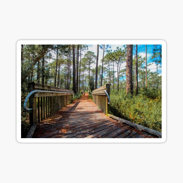 Tarkiln Bayou Boardwalk Sticker