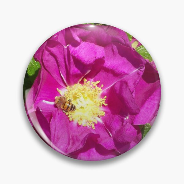 Item preview, Bee and Rose - Bee and Rose designed and sold by Boscastle.