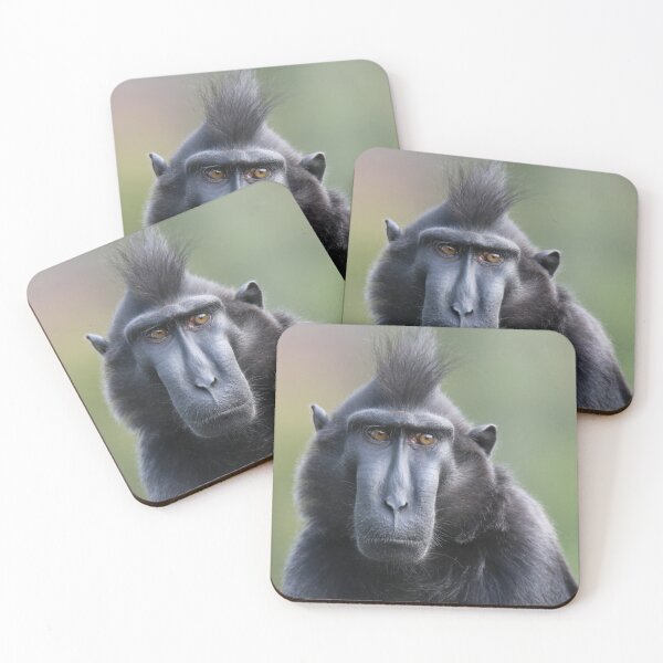 Item preview, Sulawesi Crested Black Macaque designed and sold by aquabella.