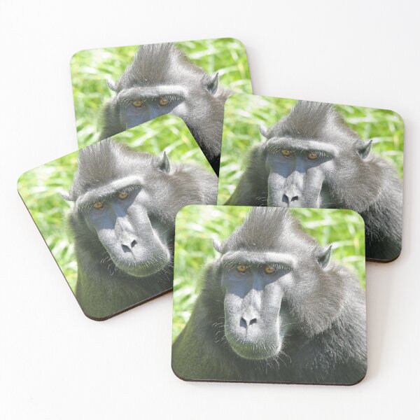 Item preview, Sulawesi Crested Black Macaque designed and sold by aquabella.