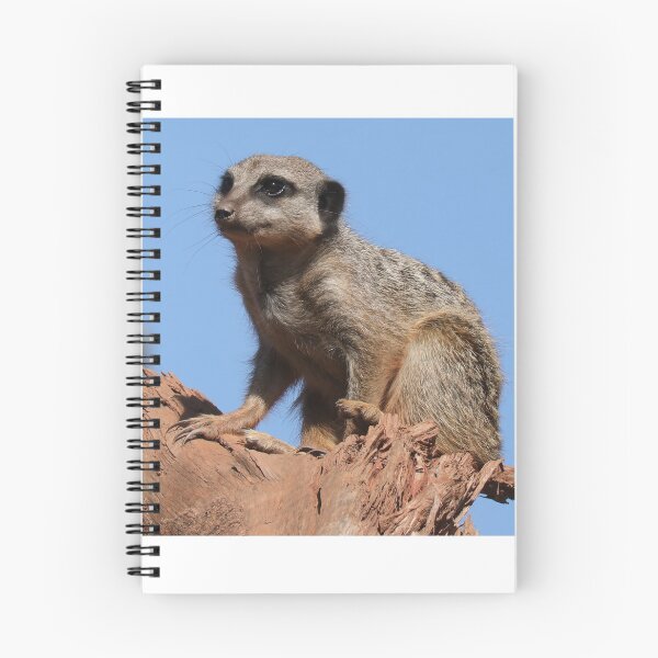 Item preview, Meerkat designed and sold by aquabella.