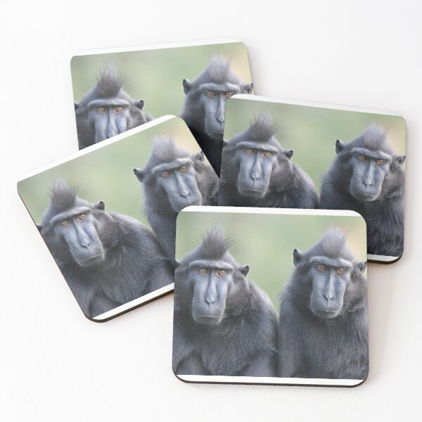 Item preview, Sulawesi Crested Black Macaques designed and sold by aquabella.