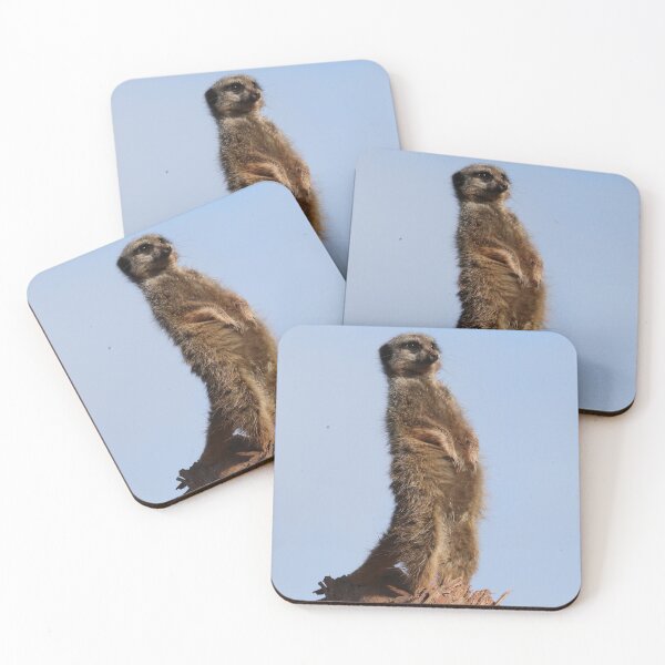 Item preview, Meerkat designed and sold by aquabella.