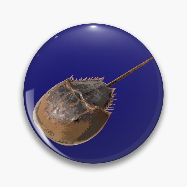 Item preview, Horseshoe Crab Color Print  designed and sold by designsasstultd.