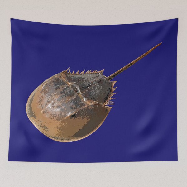 Item preview, Horseshoe Crab Color Print  designed and sold by designsasstultd.